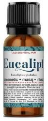 Santo Raphael Ulei Esential de Eucalipt Santo Raphael, 10 ml