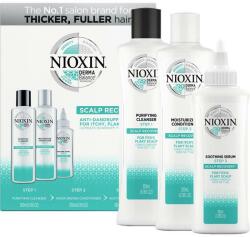 Nioxin Kit Tratament impotriva Matretii si a Mancarimilor Scalpului Nioxin Scalp Recovery - Sampon 200 ml, Balsam 200 ml, Ser 100 ml