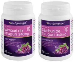 Bio-Synergie Extract de Samburi de Struguri 340 mg, Bio-Synergie, 30 capsule 1+1 gratis