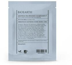 Bioearth Masca pentru Ten Energizanta cu Suc de Mere -Tip Servetel - Bioearth, 1 buc
