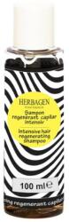 Herbagen Sampon Regenerant Capilar Intensiv Herbagen, 100ml