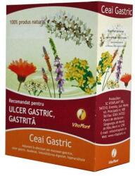 Vitaplant Ceai Gastric VitaPlant, 50 plicuri X 1.5 g