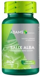 Adams Supplements Salix Alba Adams Supplements Natural Aspirine Alternative, 90 capsule