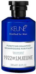 Keune Sampon Purifiant Antimatreata pentru Barbati - Keune 1922 by J. M. Keune Distilled for Men Purifying Shampoo, 250ml