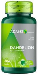 Adams Supplements Extract de Papadie Dandelion Adams Supplements, 30 capsule