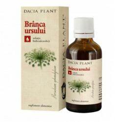 DACIA PLANT Tinctura Branca Ursului Dacia Plant, 50ml