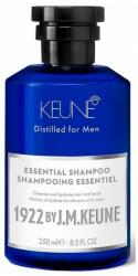 Keune Sampon 2 in 1 pentru Toate Tipurile de Par - Keune Essential Shampoo Distilled for Men, 250 ml