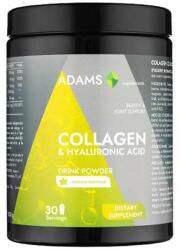 Adams Supplements Colagen cu Acid Hialuronic Pulbere cu Aroma de Vanilie Adams Supplements Collagen & Hyaluronic Acid Drink Powder, 600 g