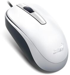Genius DX-120 White (31010105107) Mouse