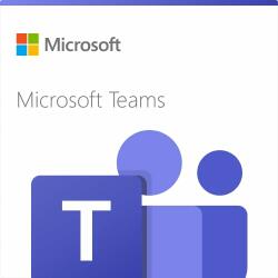 Microsoft Teams Rooms Pro Subscription (1 Year) (CFQ7TTC0QW7C-0006_P1YP1Y)