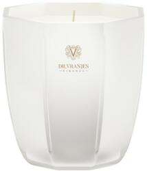 Dr. Vranjes Firenze Ginger Lime Scented Candle Illatgyertya 200 g