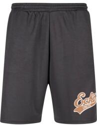 Ecko Unltd Ecko Unltd. Shorts BBALL black