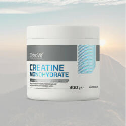 OstroVit Kreatin Monohidrát 300 g mikronizált creatine mesh 200 (5902232617610)