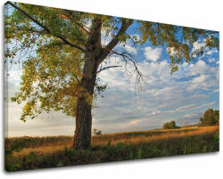  Falfestés TREES ST016E11