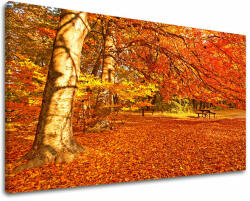 Falfestés TREES ST005E11