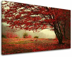  Falfestmény FÁK ST017E11