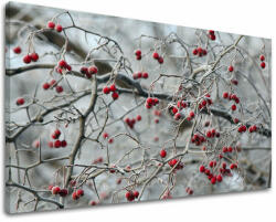  Falfestés TREES ST006E11