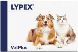 VetPlus Lypex, 60 capsule - shop4pet