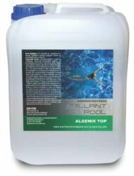 Brillant Pool Solutie algicid 5L Algenix Top (UVA-T05B)