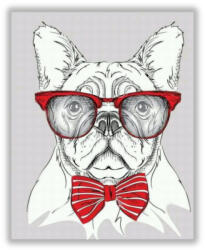 DIY Számfestő Szemüveges Francia Bulldog - akciós számfestő készlet (50x65cm) (I14839)