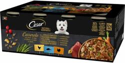 Cesar Natural Goodness Casserole 24x400 g hrana caini adulti cu pui, cu peste alb, curcan in sos cu cereale integrale