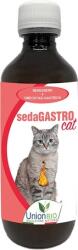 Union Bio sedaGASTRO ca tratament suplimentar pentru tulburările de stomac la pisici, analgezic 200 ml