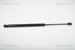 TRISCAN Amortizor portbagaj TRISCAN 8710 29280 (8710 29280) - automobilus