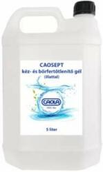 Caola Gel dezinfectant pentru mâini și piele 5000 ml caosept (CSG5L)