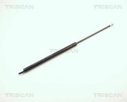 TRISCAN Amortizor portbagaj TRISCAN 8710 2912 (8710 2912) - automobilus