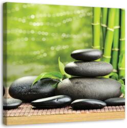 Gario Vászonkép Fekete zen kövek és zöld növényzet Méret: 30 x 30 cm