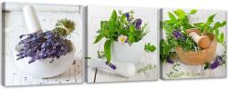 Gario Vászonképek készlet Gyógynövények a konyhában - 3 részes Méret: 90 x 30 cm