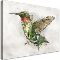 Gario Vászonkép Kolibri és a varázslatos erdő - Barrett Biggers Méret: 60 x 40 cm