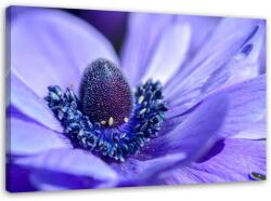 Gario Vászonkép Kék és lila virág Méret: 60 x 40 cm