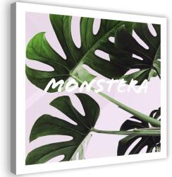 Gario Vászonkép Egzotikus levelek - monstera Méret: 30 x 30 cm