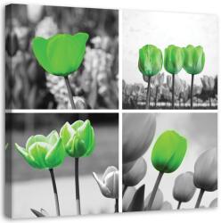 Gario Vászonkép Zöld tulipánok készlete Méret: 30 x 30 cm
