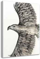 Gario Vászonkép Vázlat egy repülo sasról - Jan Perit Kablan Méret: 40 x 60 cm