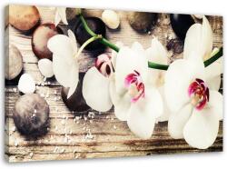 Gario Vászonkép Fehér zen orchidea Méret: 60 x 40 cm