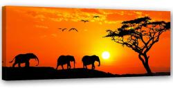 Gario Vászonkép Afrikai szavanna panoráma Méret: 90 x 30 cm