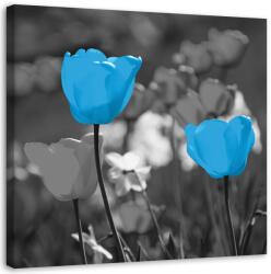 Gario Vászonkép Kék tulipánok a réten Méret: 30 x 30 cm
