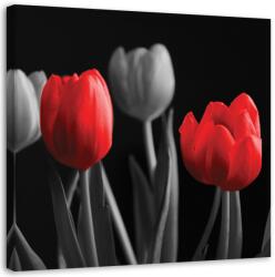 Gario Vászonkép Piros tulipánok Méret: 30 x 30 cm