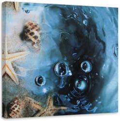 Gario Vászonkép Kagylók kék vízben Méret: 30 x 30 cm