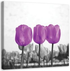 Gario Vászonkép Lila tulipánok Méret: 30 x 30 cm