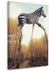 Gario Vászonkép Zebra és nyírfa lábak - Patryk Andrzejewski Méret: 40 x 60 cm