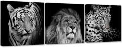 Gario Vászonképek készlet Fekete-fehér ragadozó állatok - 3 részes Méret: 90 x 30 cm