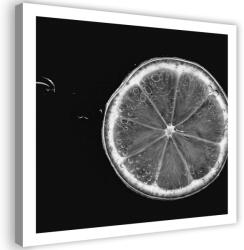 Gario Vászonkép Citrom szelet fekete-fehér Méret: 30 x 30 cm