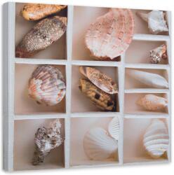 Gario Vászonkép Válogatott kagylók egy dobozban Méret: 30 x 30 cm