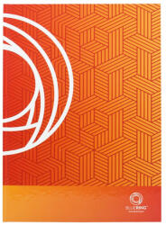 BLUERING Beírókönyv A4, 96lap, keményfedeles, egyszínű, Bluering kockás (52334) - iroszer24