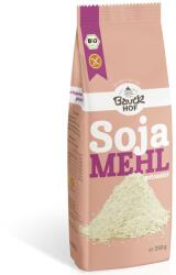 Bauckhof Faina de soia prajita fara gluten bio 250g