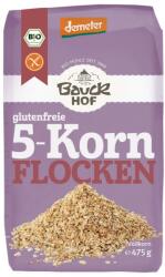 Bauckhof Fulgi din 5 cereale fara gluten bio 475g