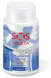 Rotta Natura L-Carnitina 500mg, SoS Silueta, 60 capsule